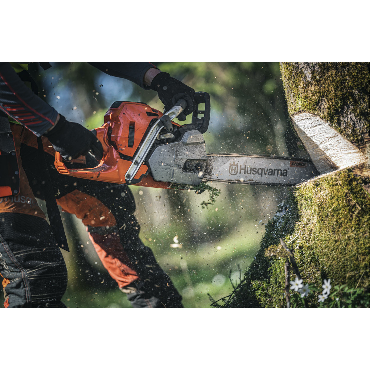 Husqvarna 572XP Chainsaw